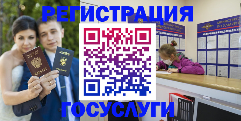 прописка поиск в Болотном
